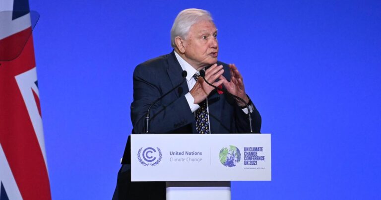 David attenborough speech