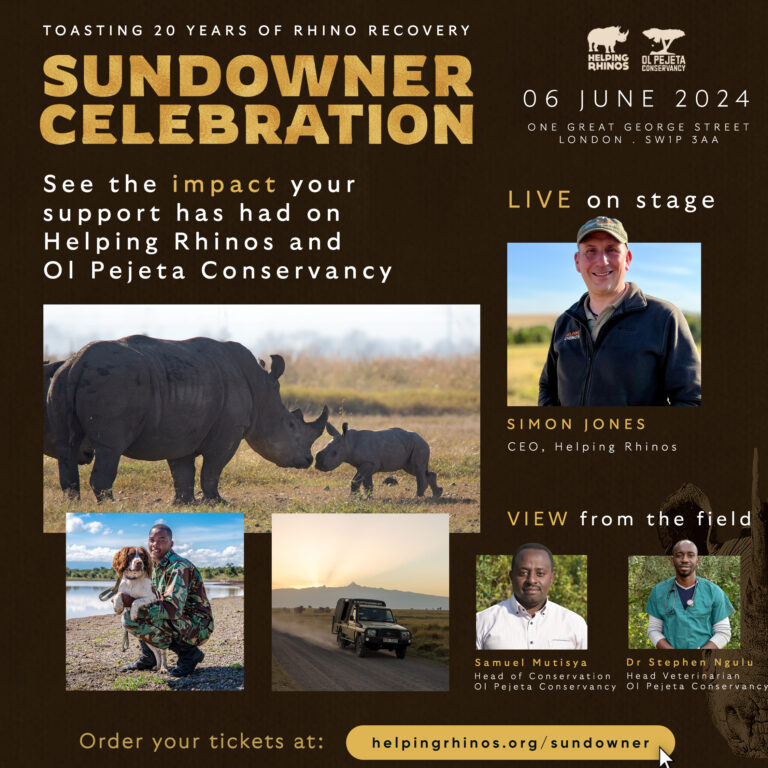 Sundowner Celebration Impact Promo