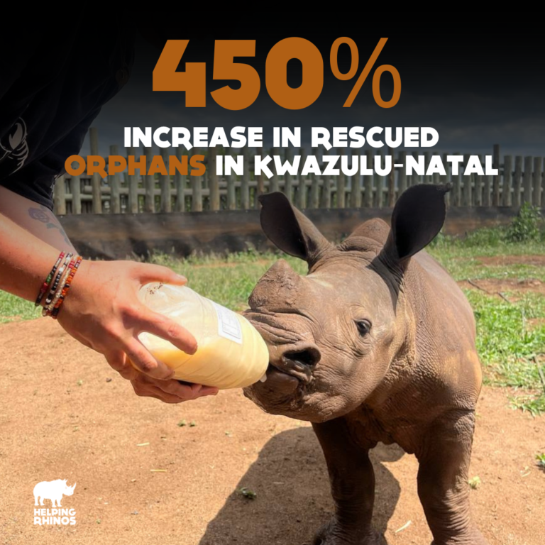 Orphan Rescue Graphic