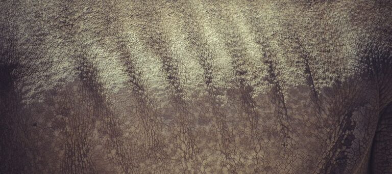 Rhino Skin