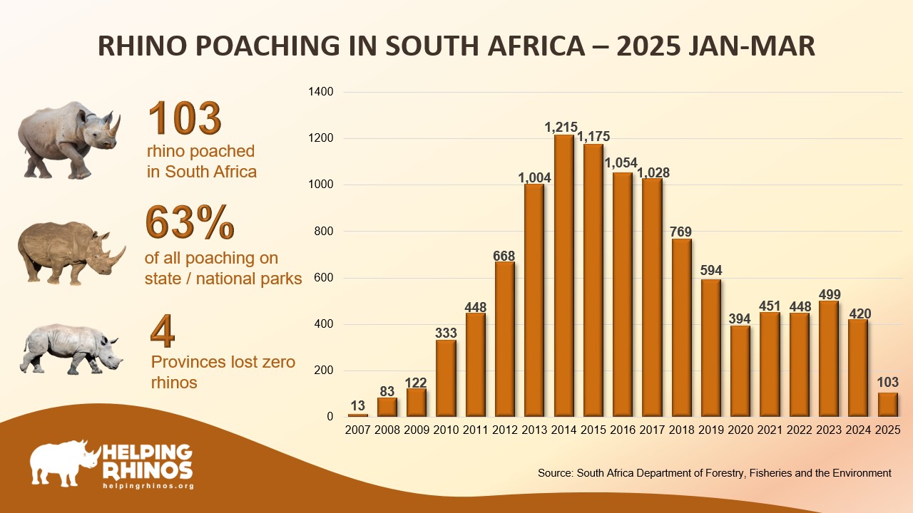 Rhino Poaching Stats 2025 Jan- Mar
