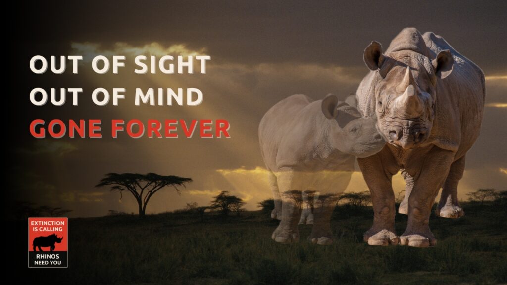 Extinction Is Calling Out of Site Out of Mind Gone Forever