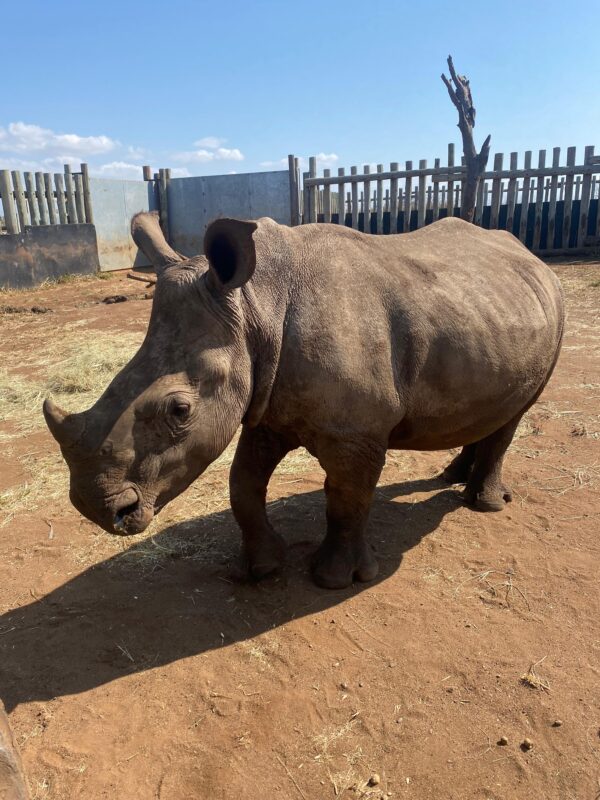 Adopt Njabula