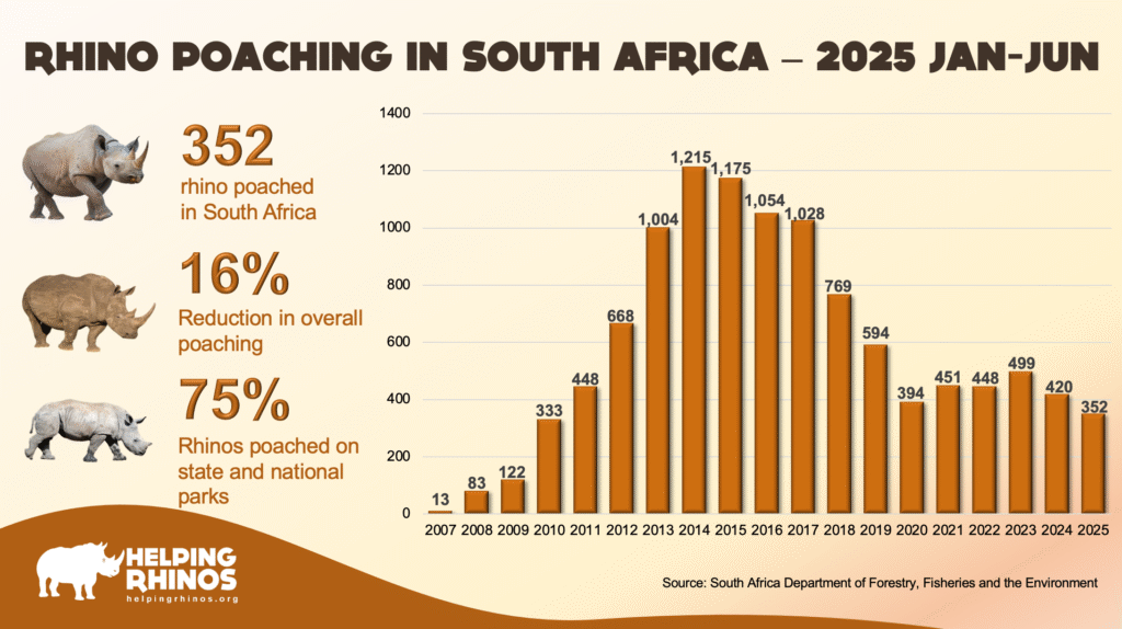 Rhino Poaching Stats 2025