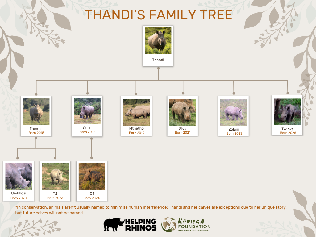 Thandi's Family Tree